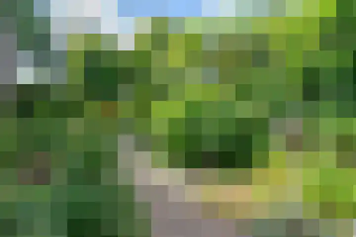 Tinnegieter 18 Hoorn thumbnail 48