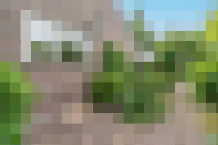 Tinnegieter 18 Hoorn thumbnail 49