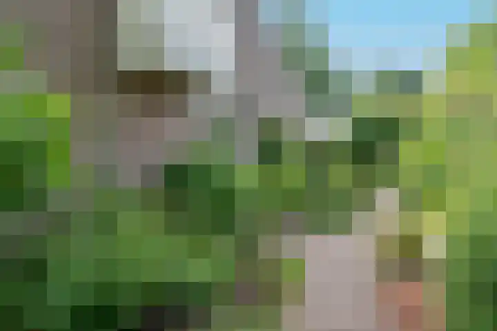 Tinnegieter 18 Hoorn thumbnail 50