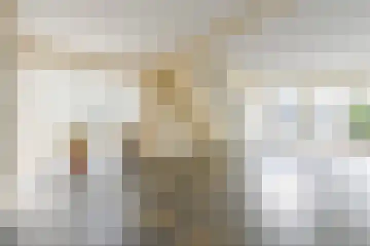 Tinnegieter 18 Hoorn thumbnail 7