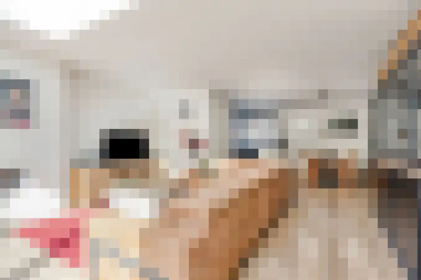 Tinnegieter 20 Oss thumbnail 13