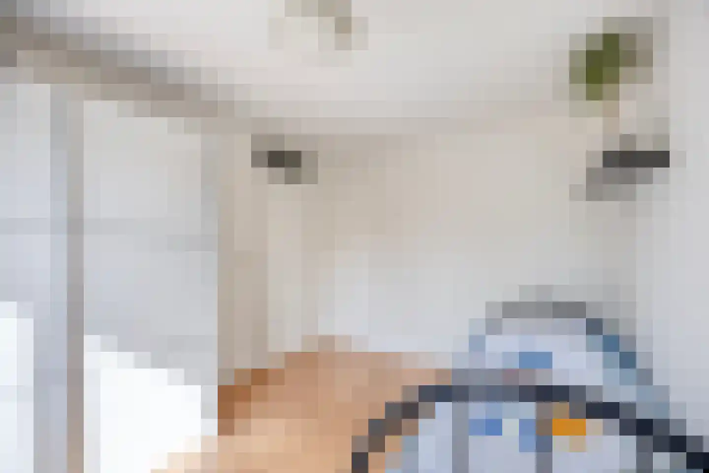 Tinnegieter 20 Oss thumbnail 24