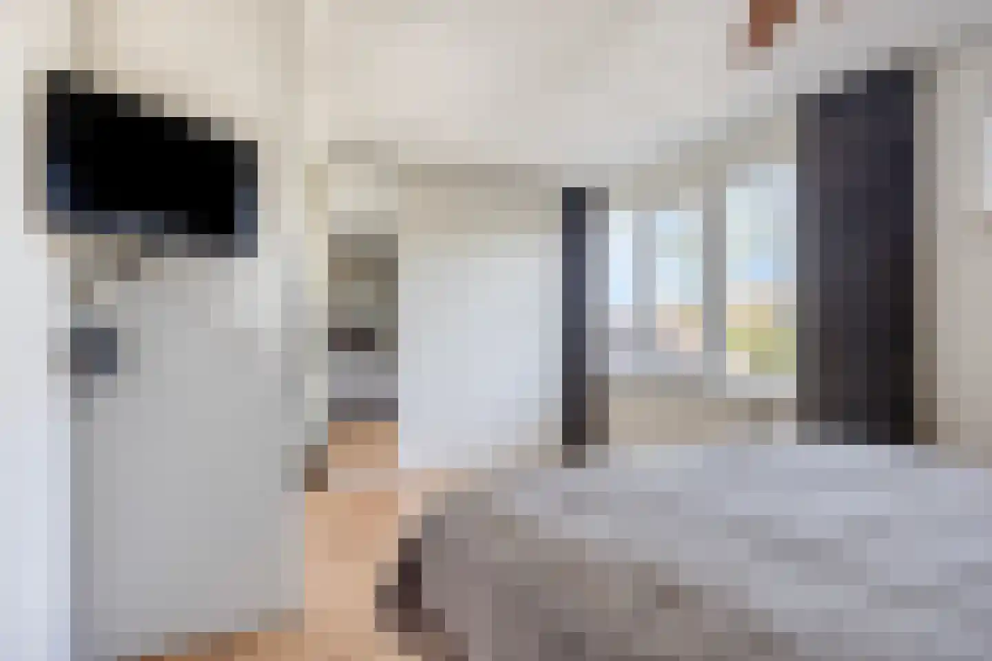 Tinnegieter 20 Oss thumbnail 26