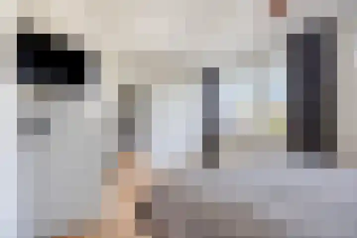 Tinnegieter 20 Oss thumbnail 26