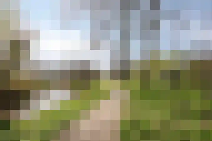 Tinnegieter 20 Oss thumbnail 34