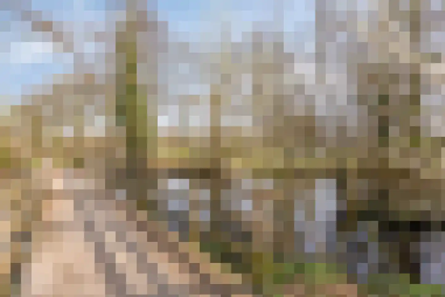 Tinnegieter 20 Oss thumbnail 35