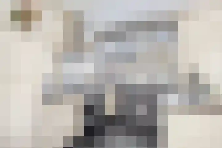 Tinnegieter 20 Oss thumbnail 9