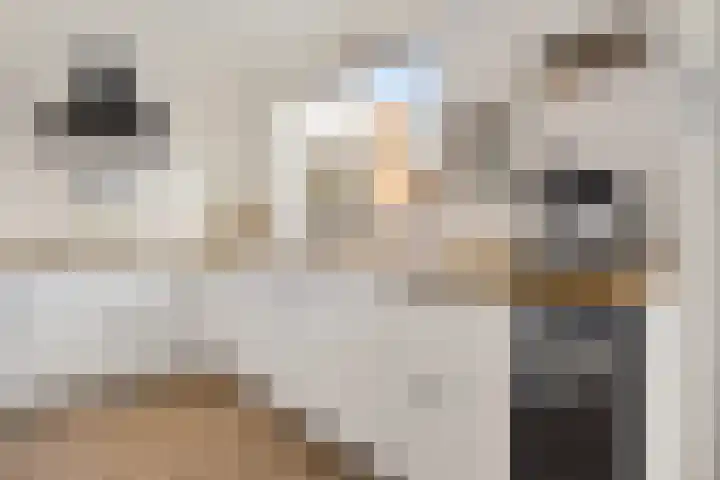 Tinnegieter 20 Zeewolde thumbnail 20