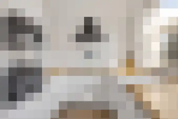 Tinnegieter 20 Zeewolde thumbnail 22