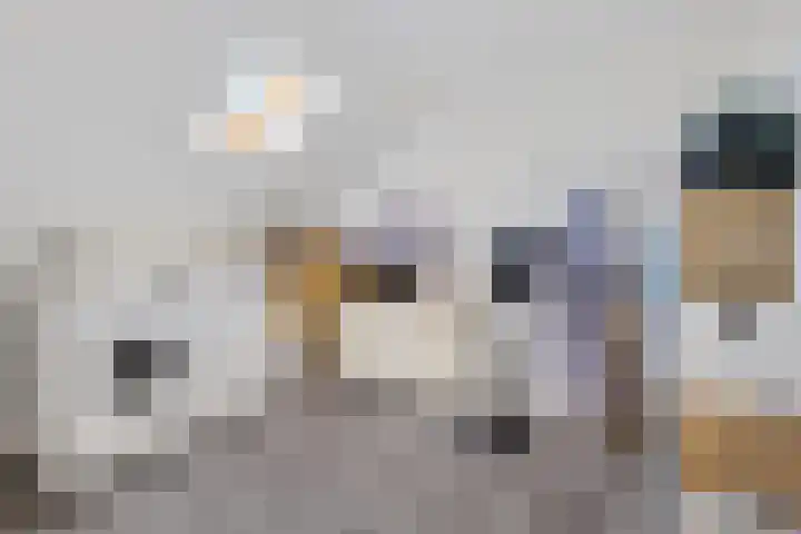 Tinnegieter 20 Zeewolde thumbnail 33