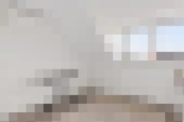 Tinnegieter 20 Zeewolde thumbnail 35