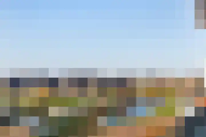 Tinnegieter 20 Zeewolde thumbnail 36
