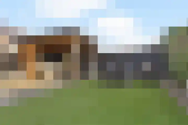 Tinnegieter 20 Zeewolde thumbnail 38