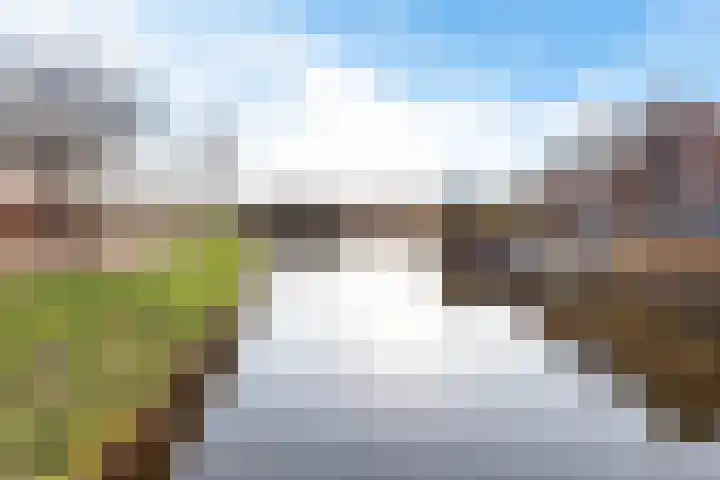 Tinnegieter 20 Zeewolde thumbnail 5