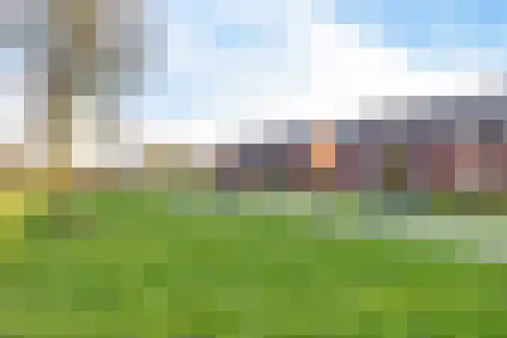Tinnegieter 20 Zeewolde thumbnail 6