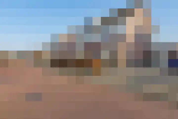 Tinnegieter 20 Zeewolde thumbnail 7