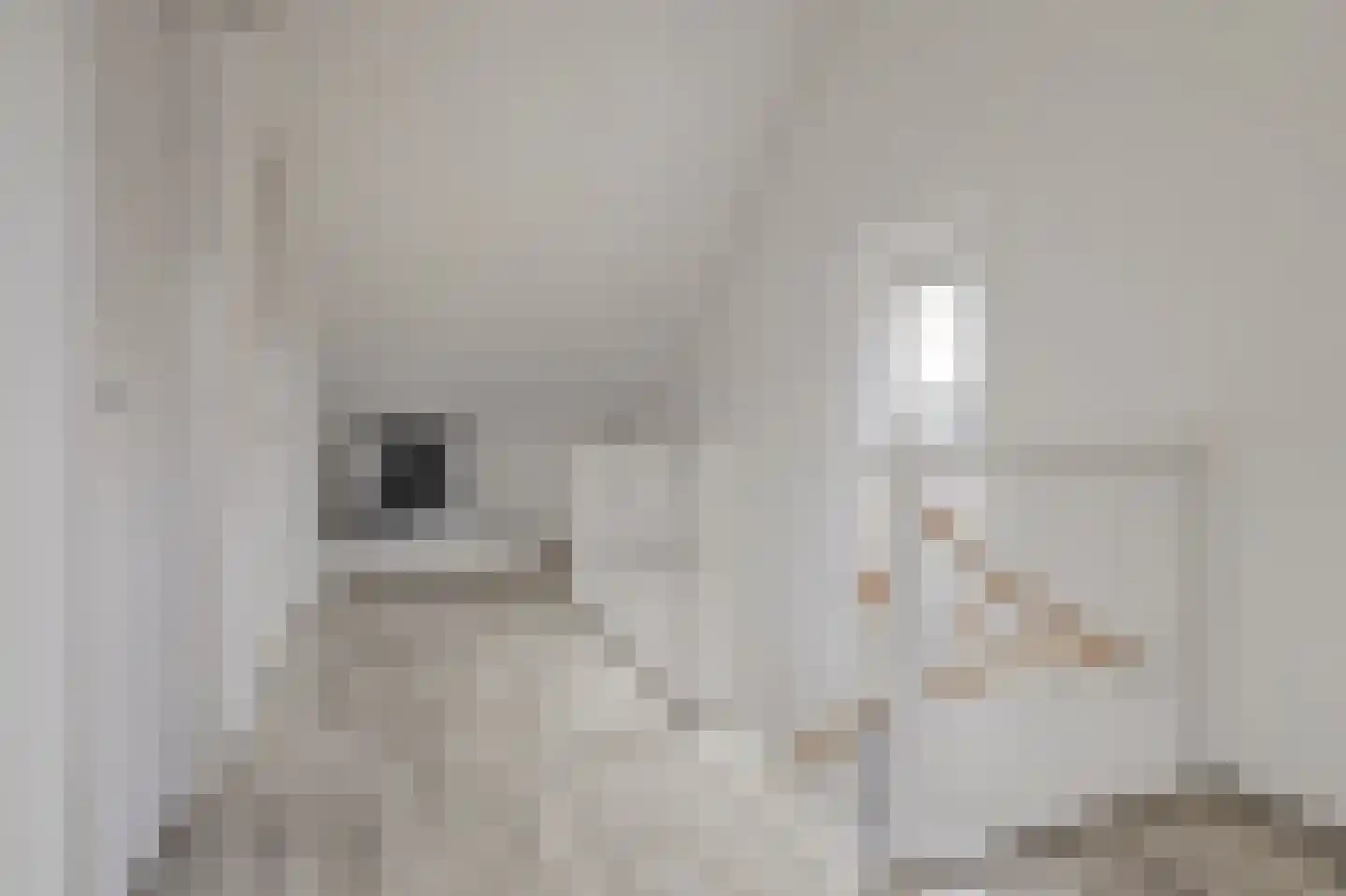 Tinnegieter 22 Zeewolde thumbnail 24