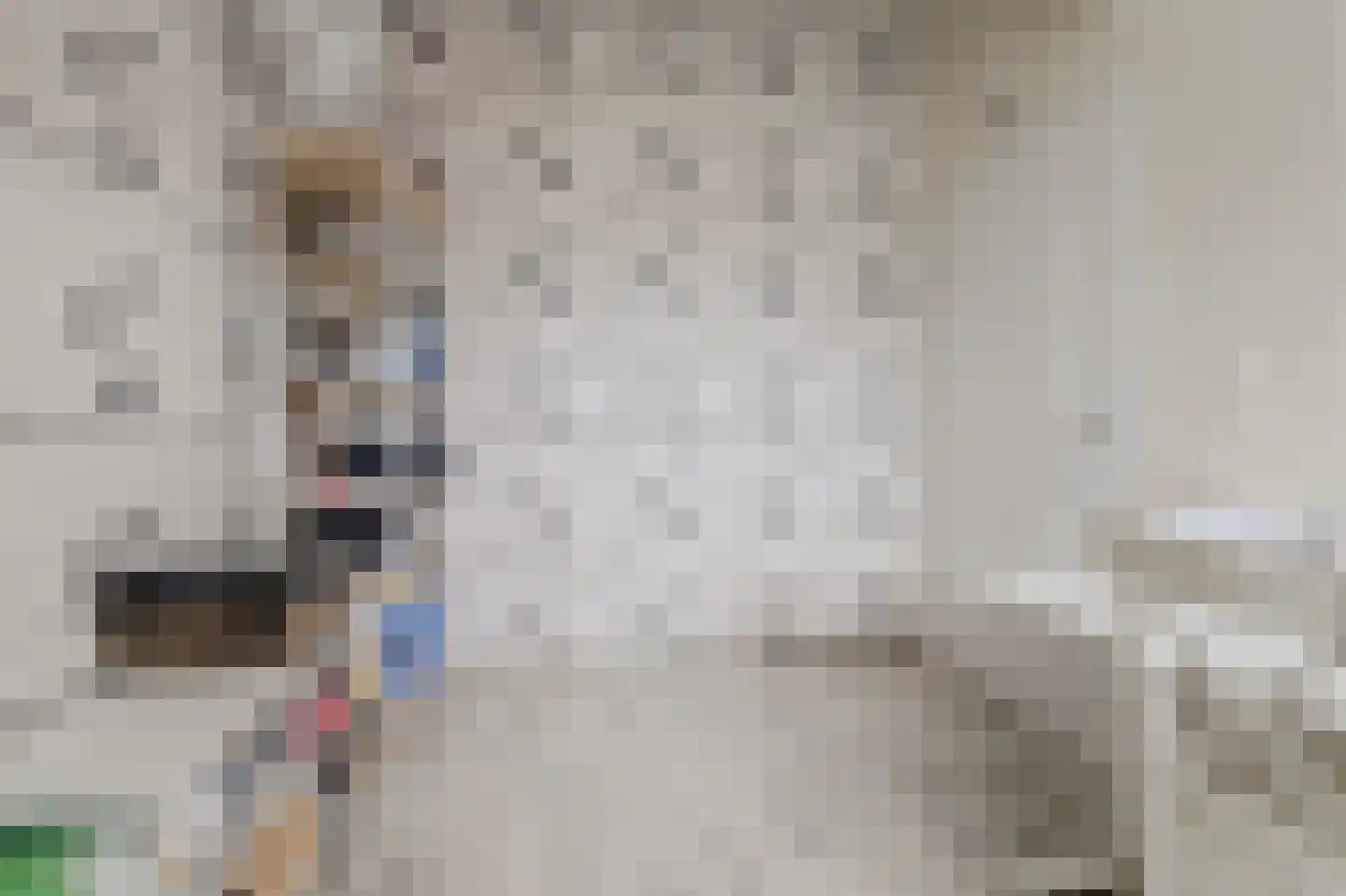 Tinnegieter 22 Zeewolde thumbnail 27