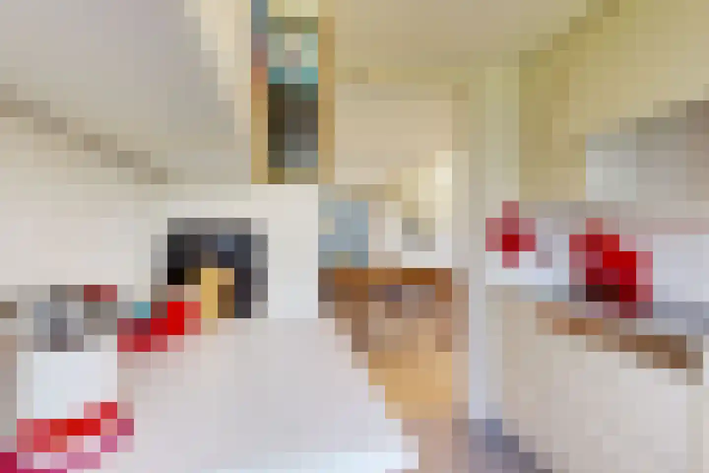 Tinnegieter 32 Hoorn thumbnail 13