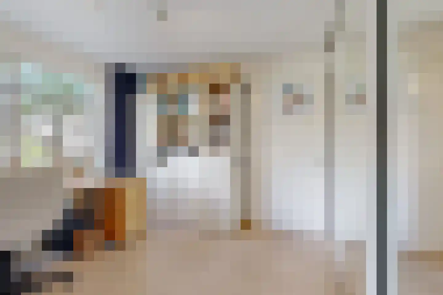 Tinnegieter 32 Hoorn thumbnail 15