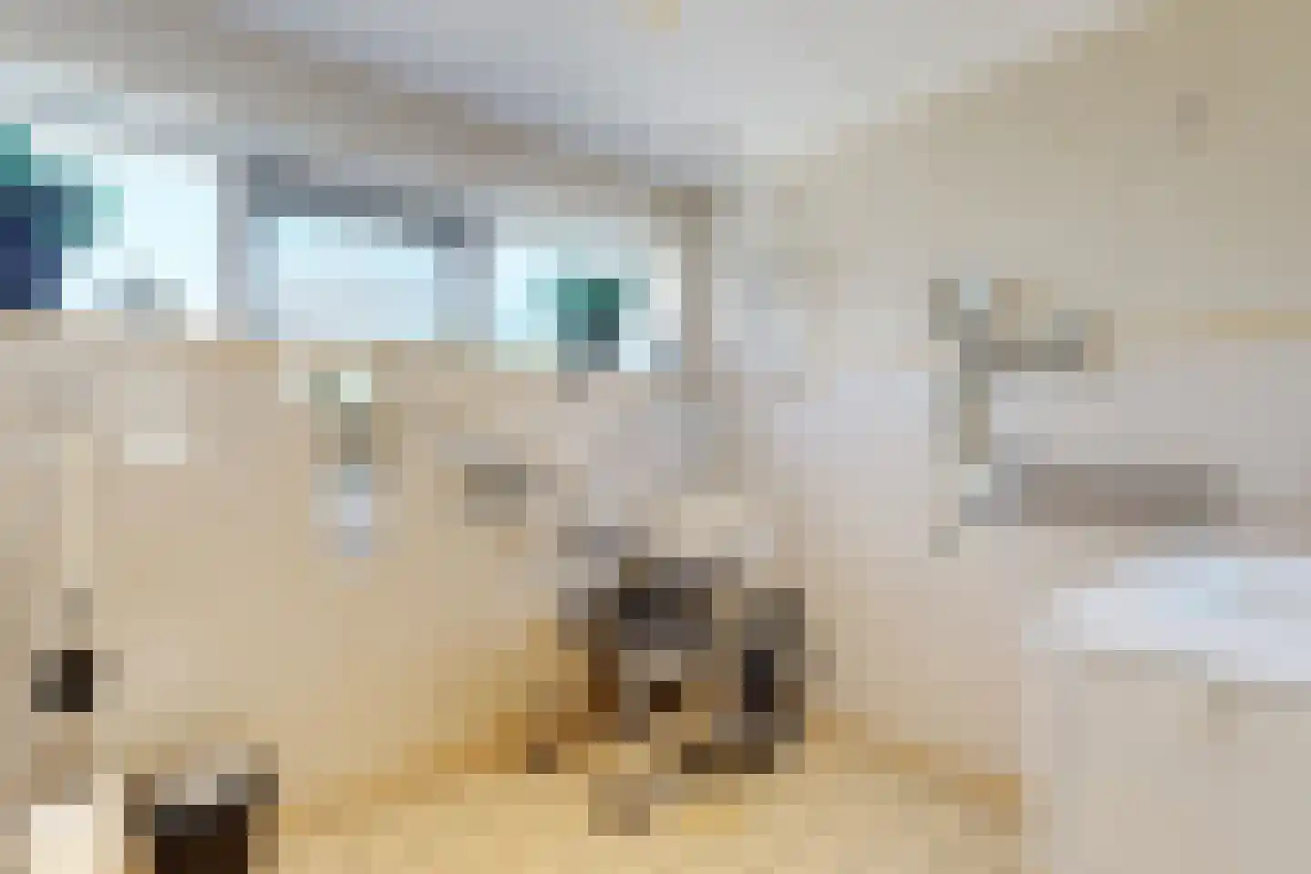 Tinnegieter 32 Hoorn thumbnail 21