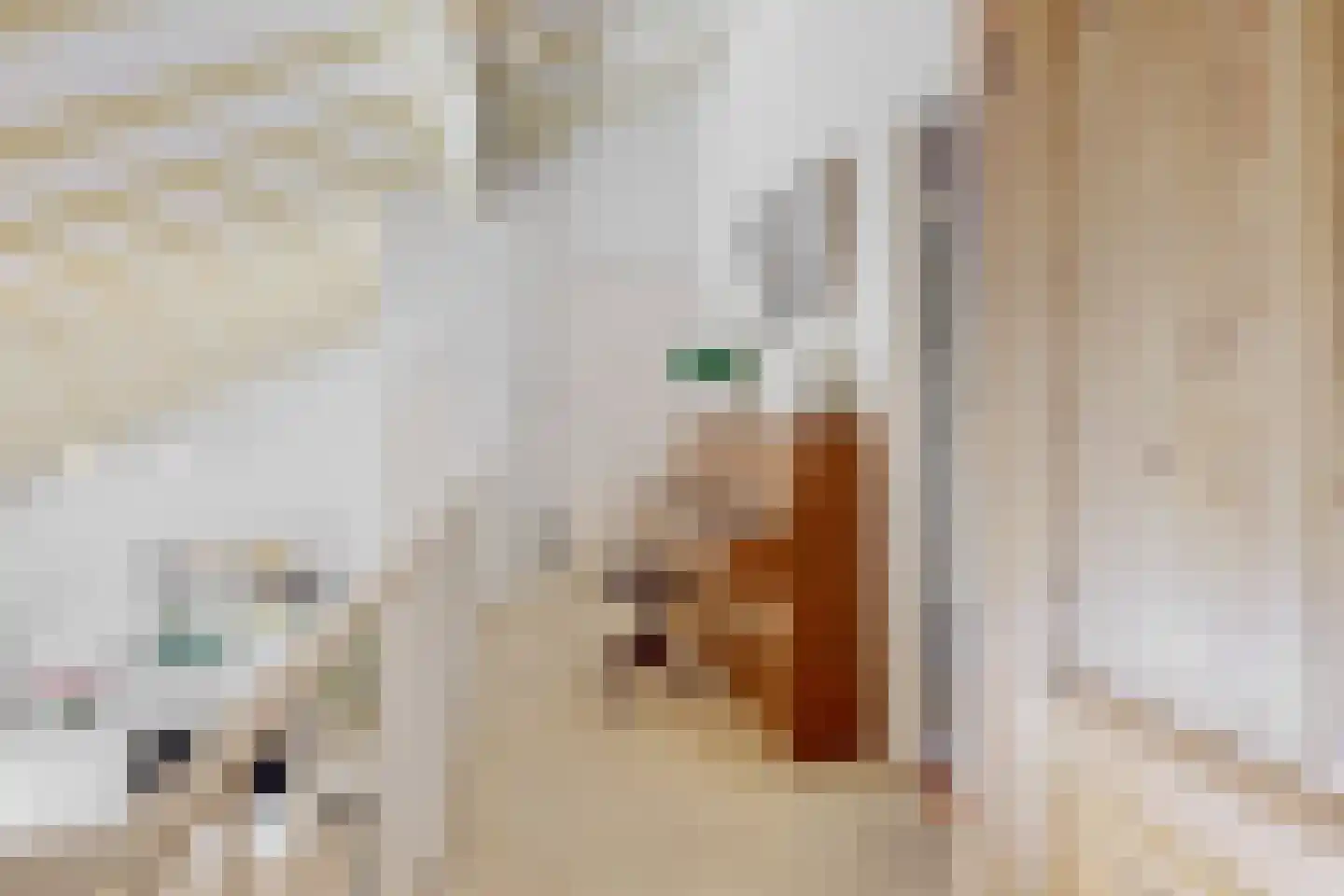 Tinnegieter 32 Hoorn thumbnail 23