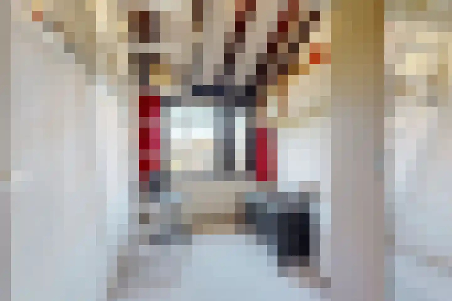 Tinnegieter 32 Hoorn thumbnail 30