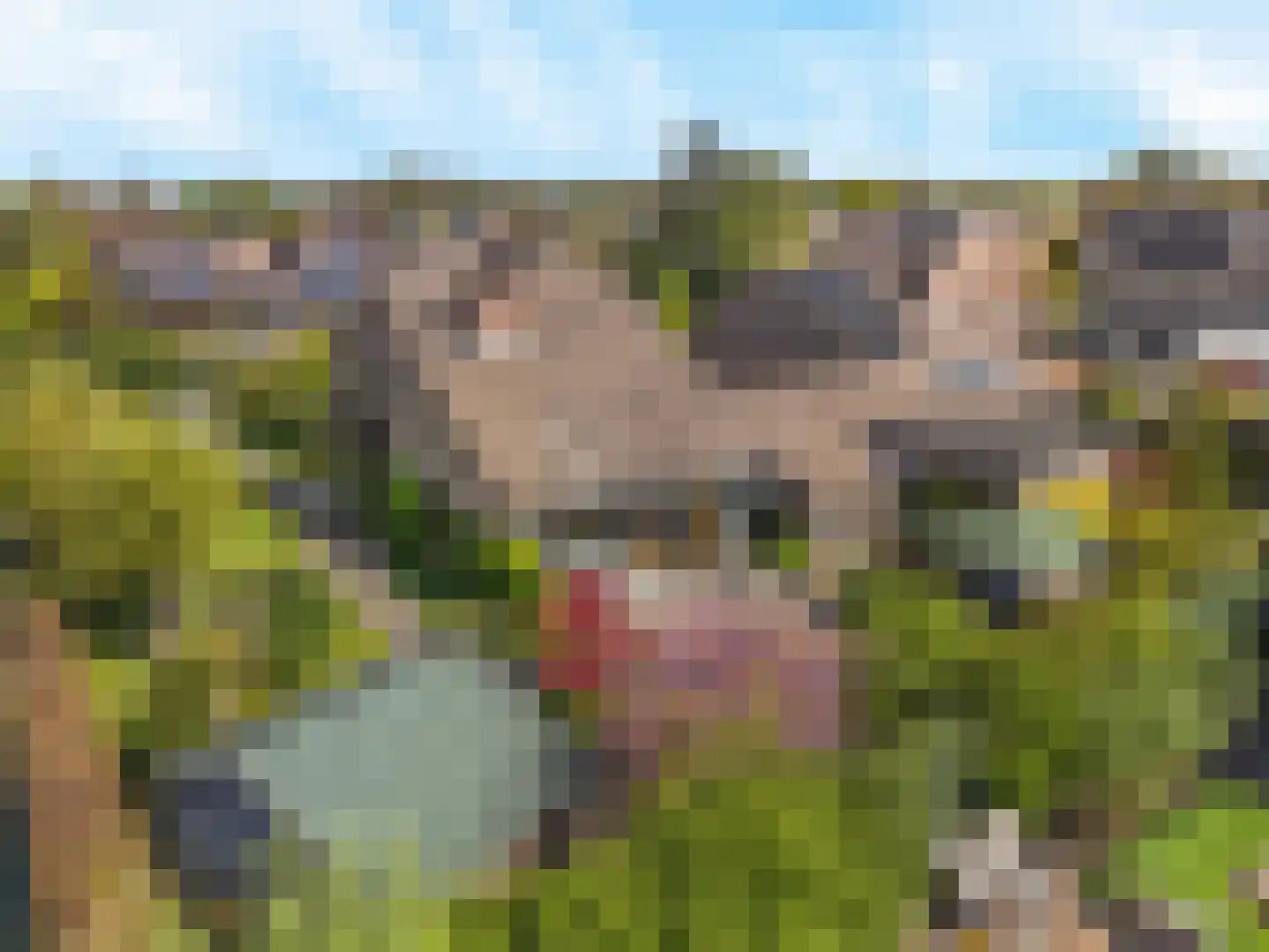 Tinnegieter 32 Hoorn thumbnail 32