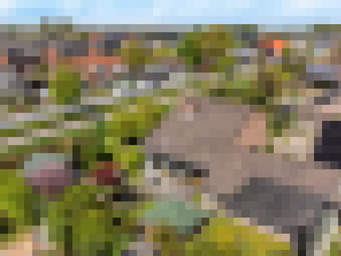 Tinnegieter 32 Hoorn thumbnail 33
