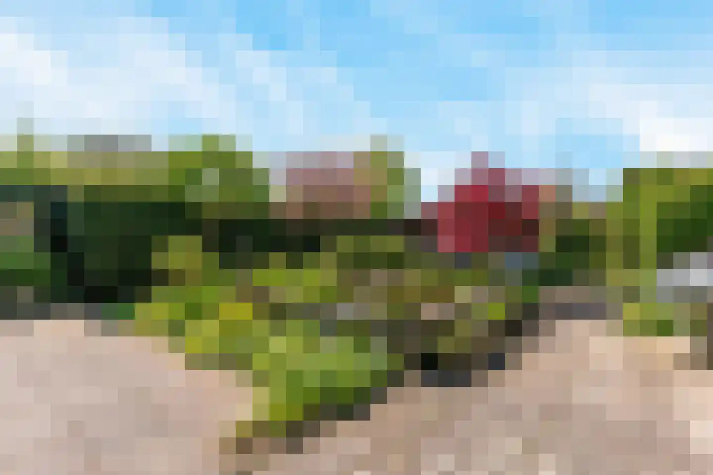 Tinnegieter 32 Hoorn thumbnail 36