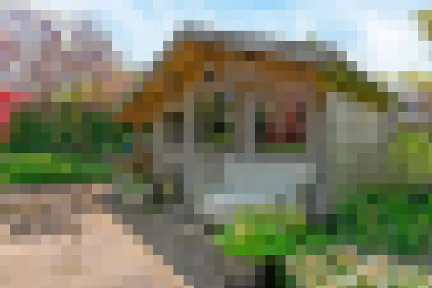 Tinnegieter 32 Hoorn thumbnail 37