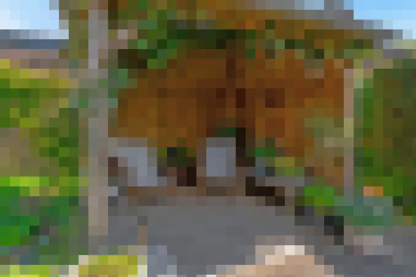 Tinnegieter 32 Hoorn thumbnail 39