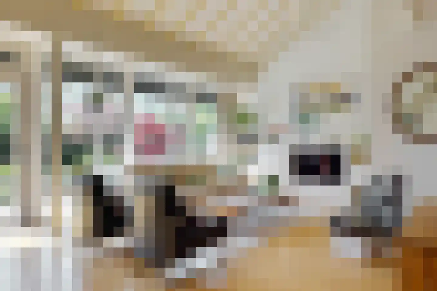 Tinnegieter 32 Hoorn thumbnail 4