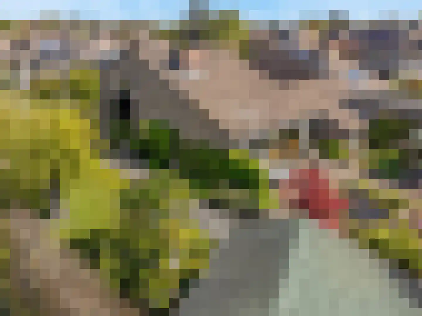 Tinnegieter 32 Hoorn thumbnail 40