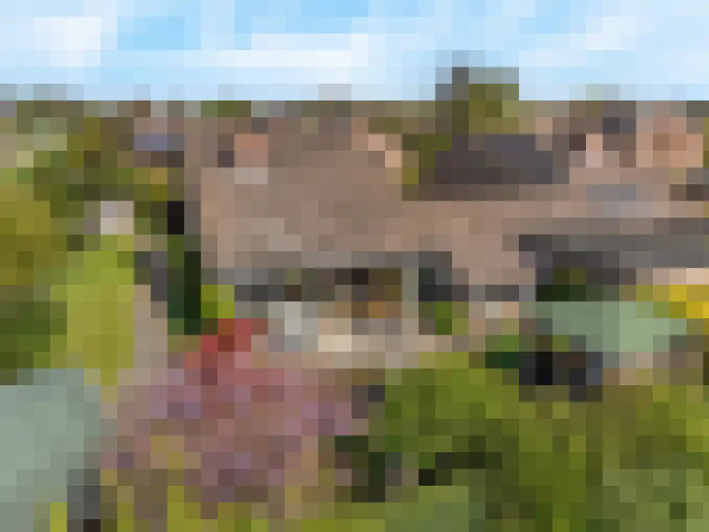 Tinnegieter 32 Hoorn thumbnail 42