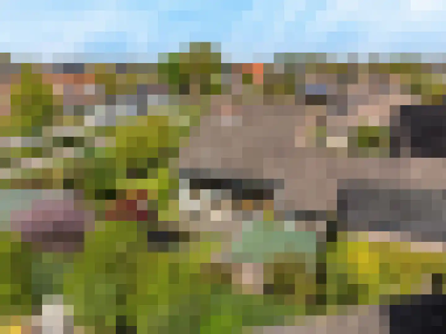 Tinnegieter 32 Hoorn thumbnail 44