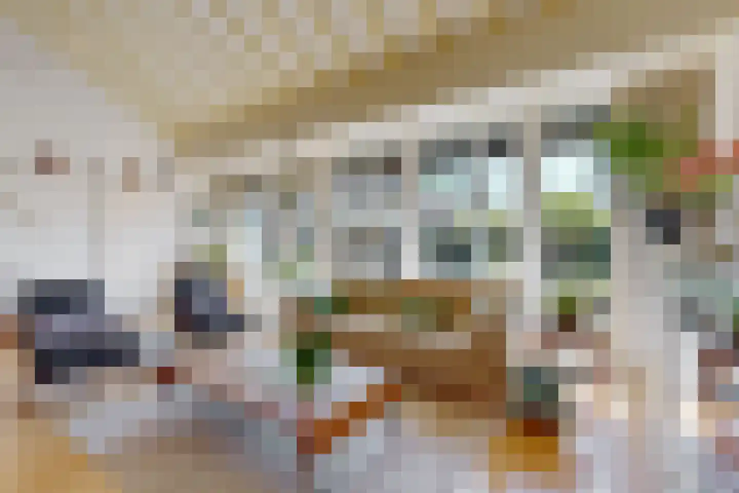 Tinnegieter 32 Hoorn thumbnail 5