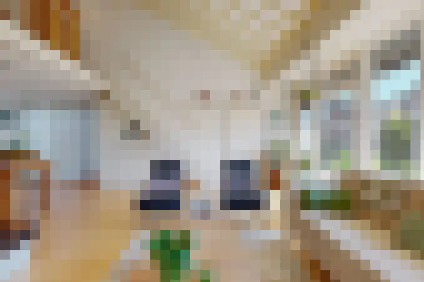 Tinnegieter 32 Hoorn thumbnail 6