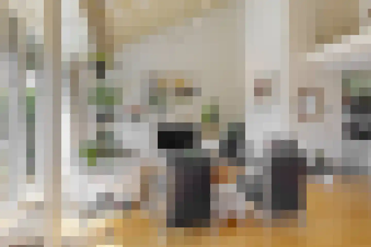 Tinnegieter 32 Hoorn thumbnail 8