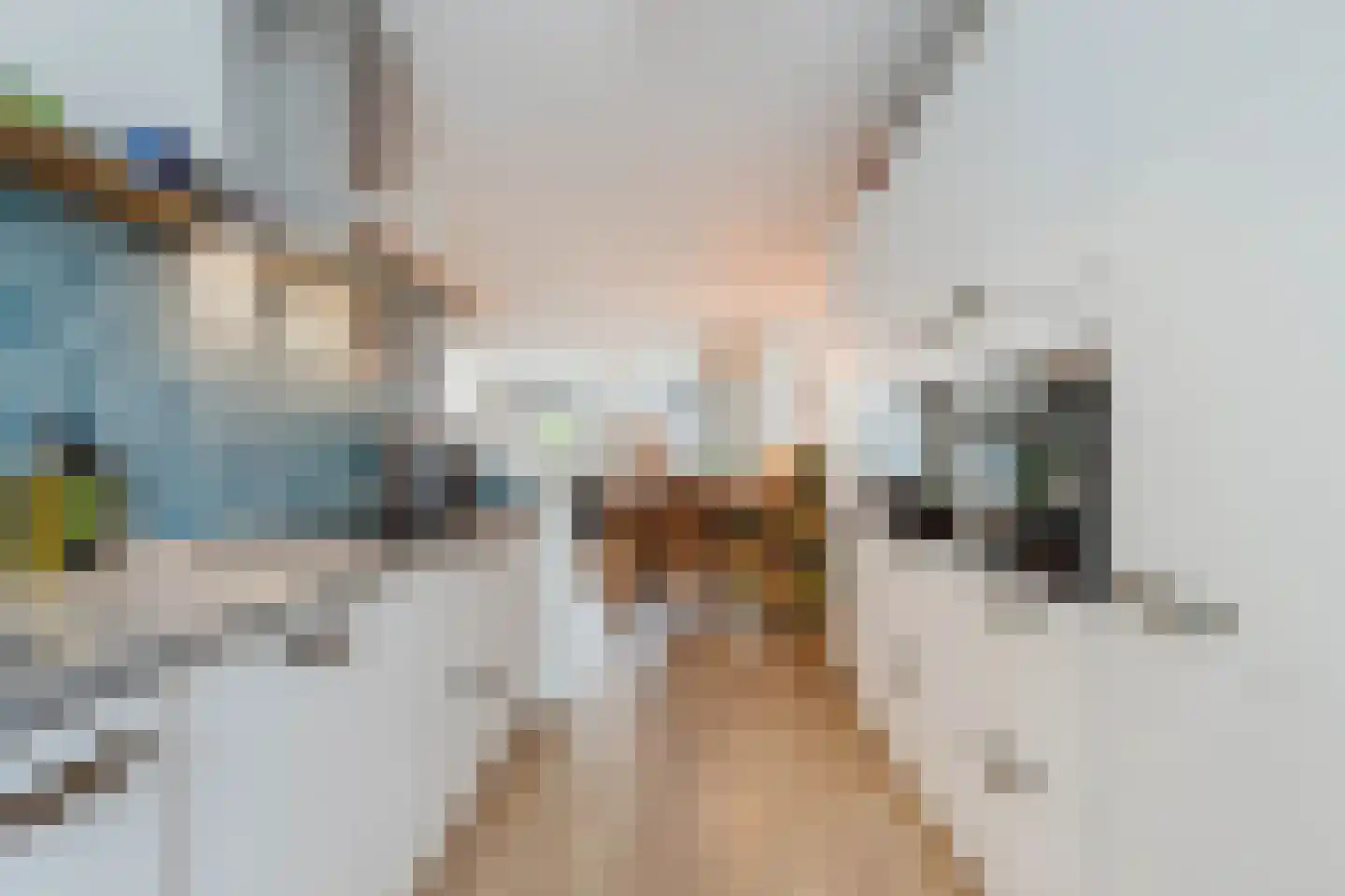 Tinnegieter 4 Leiderdorp thumbnail 16