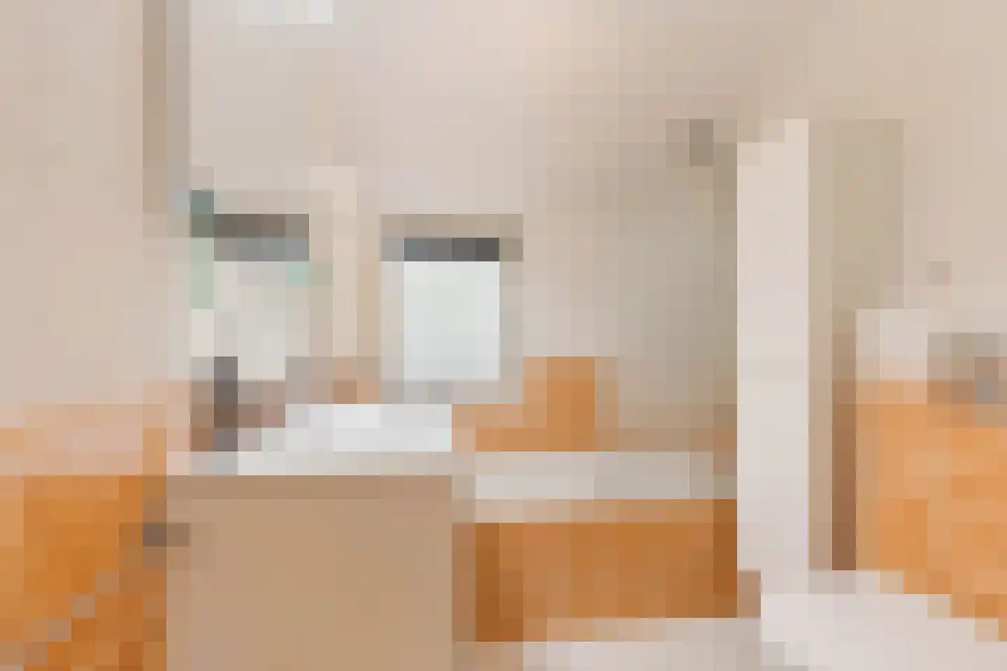 Tinnegieter 4 Leiderdorp thumbnail 21