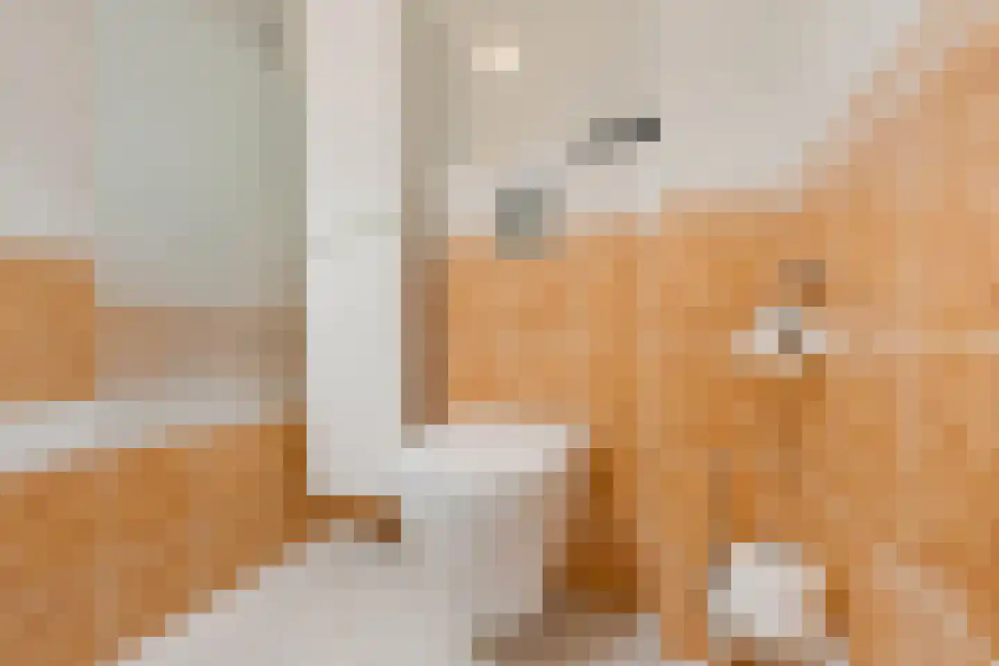 Tinnegieter 4 Leiderdorp thumbnail 23