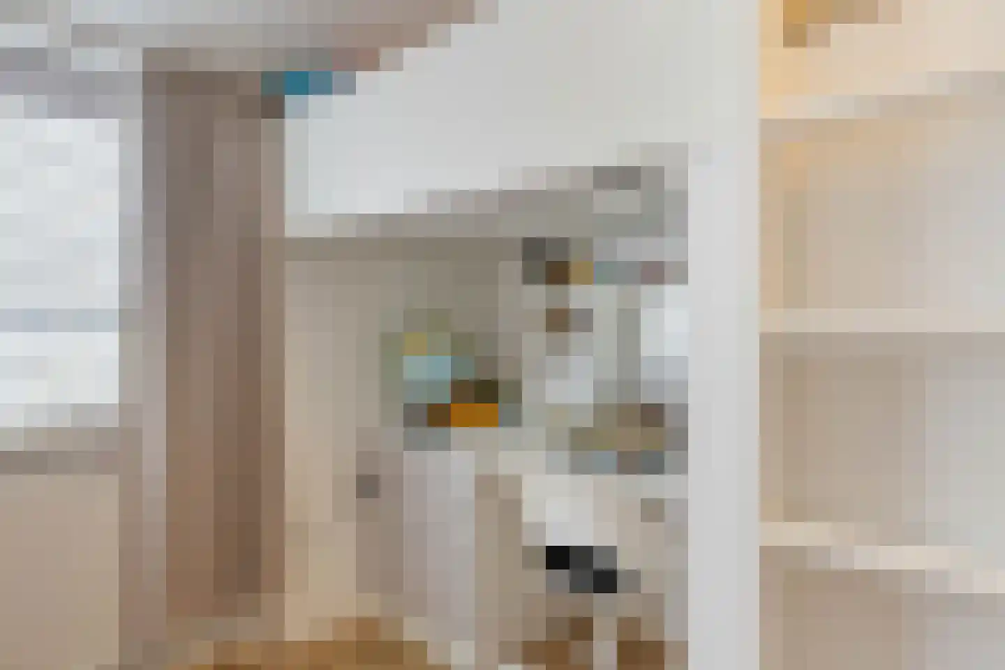 Tinnegieter 4 Leiderdorp thumbnail 24