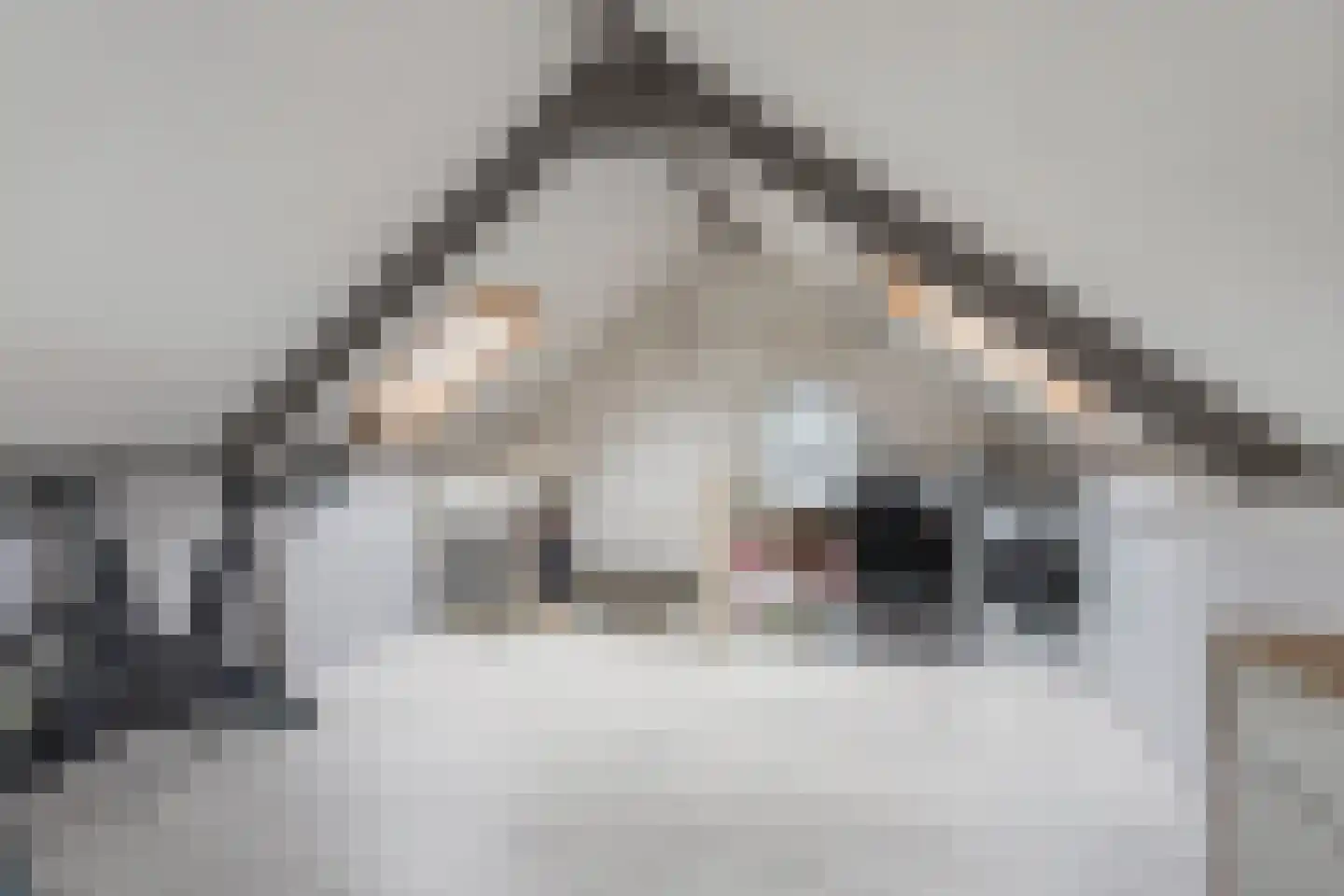 Tinnegieter 4 Leiderdorp thumbnail 32