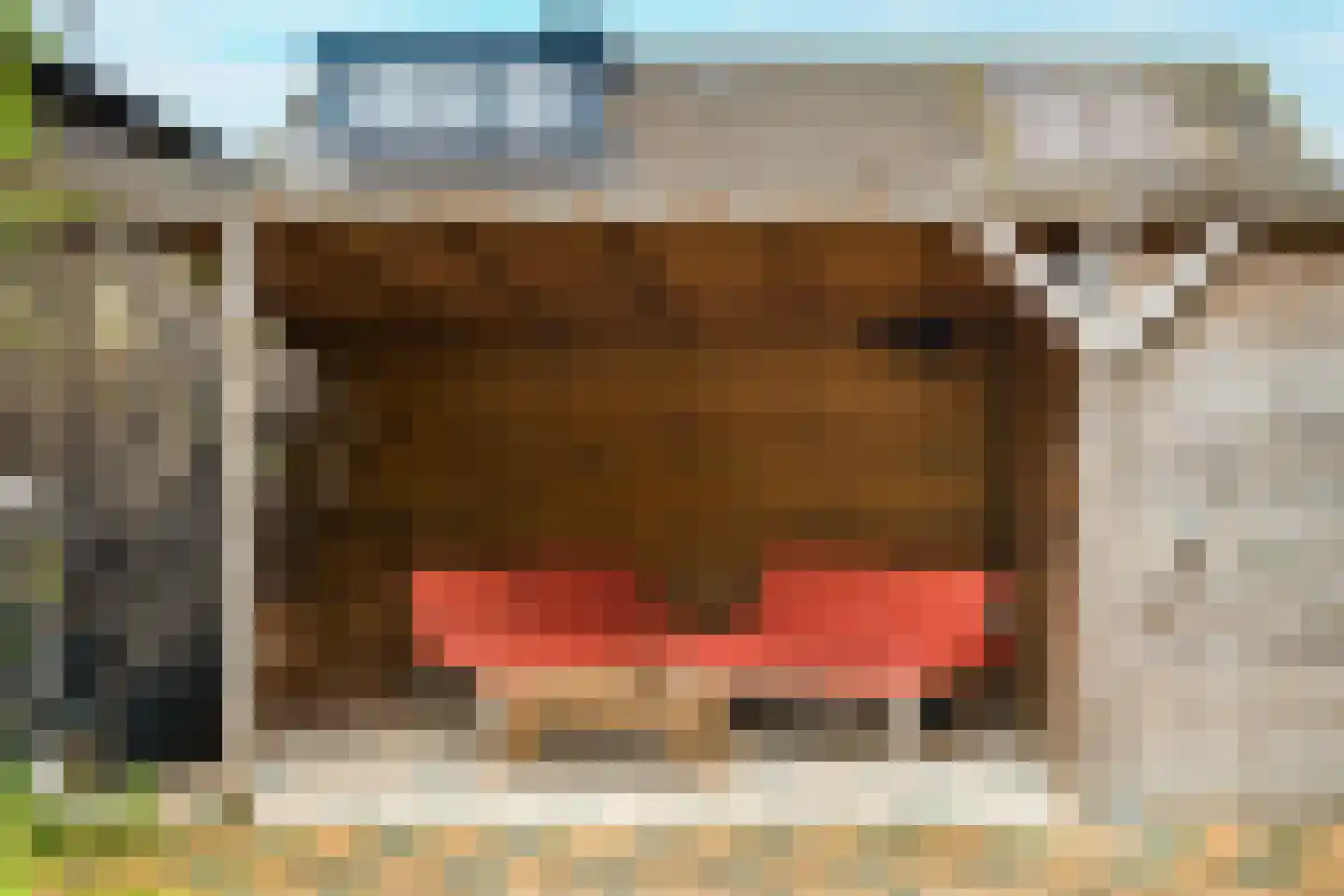 Tinnegieter 4 Leiderdorp thumbnail 36