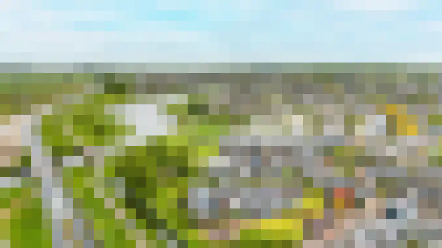 Tinnegieter 4 Leiderdorp thumbnail 38