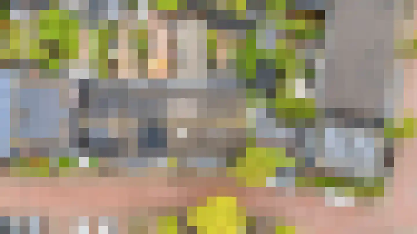 Tinnegieter 4 Leiderdorp thumbnail 39
