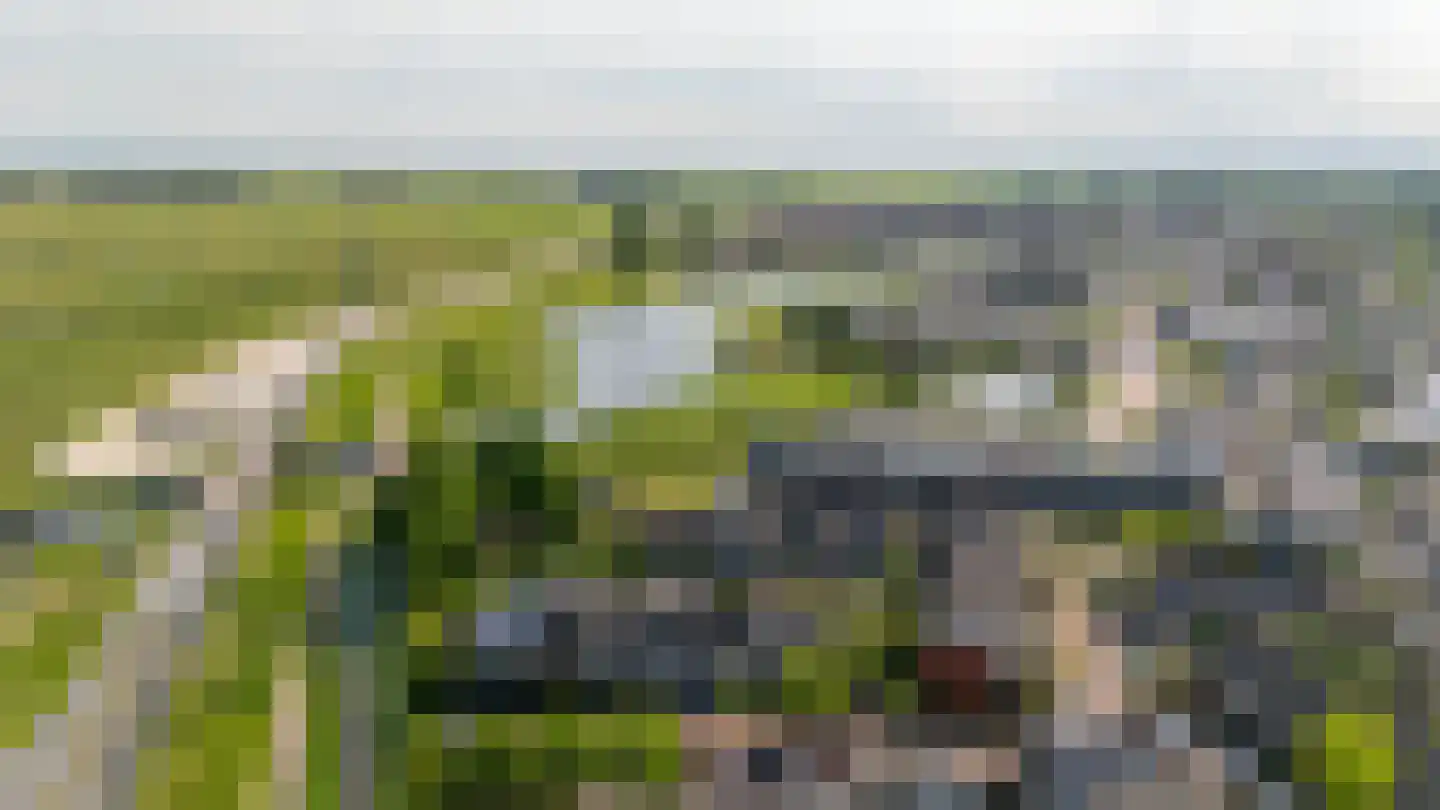 Tinnegieter 4 Leiderdorp thumbnail 42
