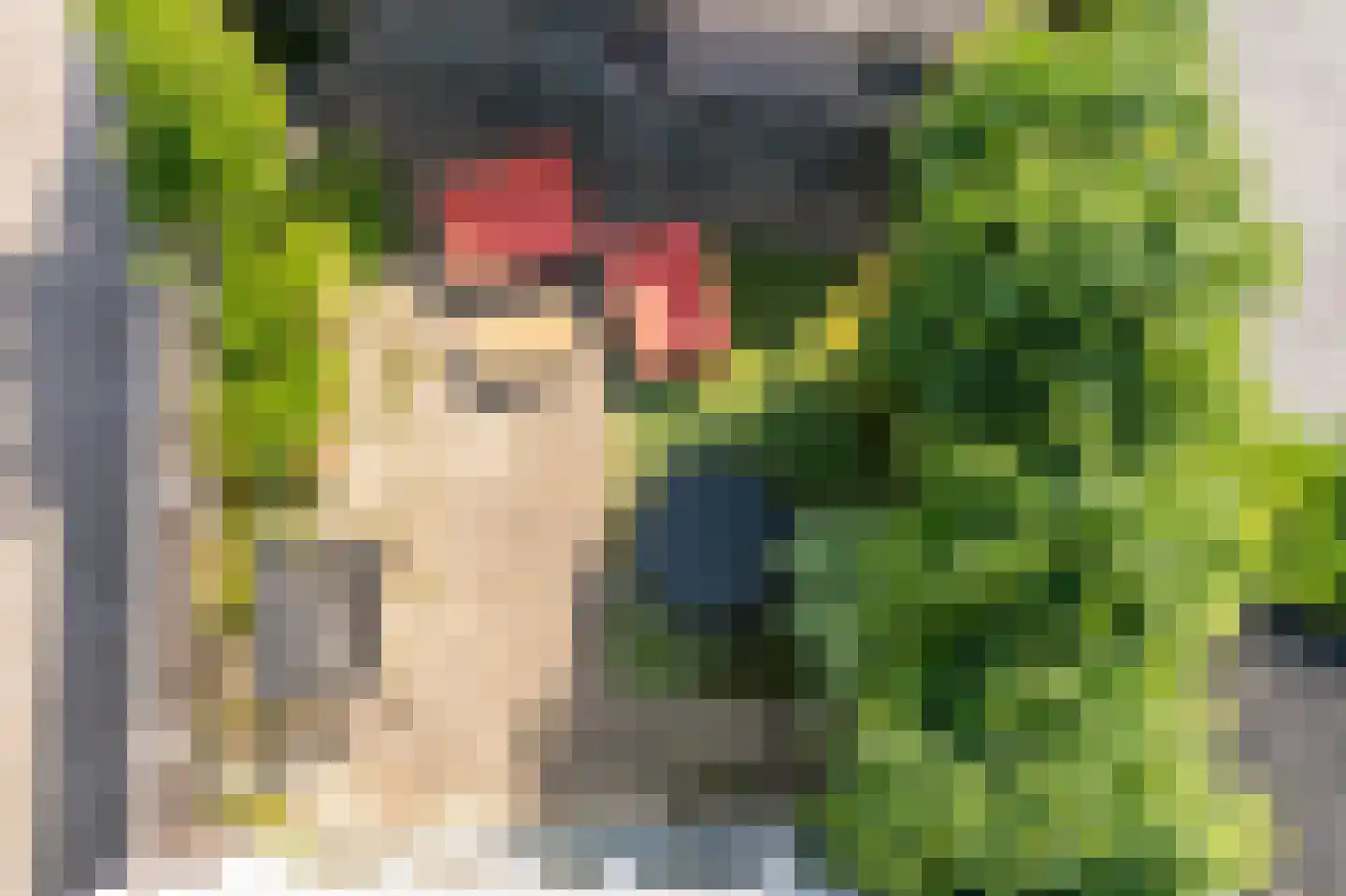 Tinnegieter 4 Leiderdorp thumbnail 43