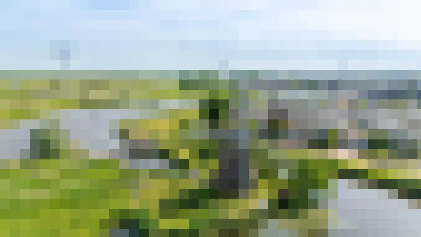 Tinnegieter 4 Leiderdorp thumbnail 44